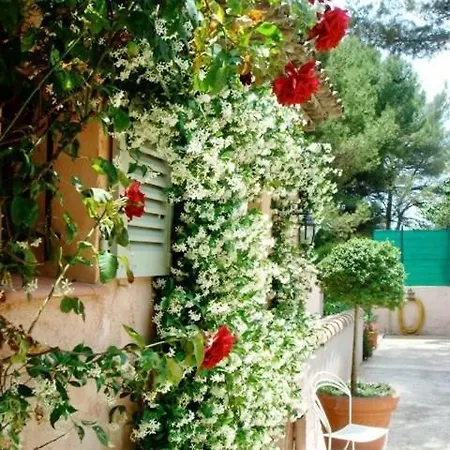 Pokade Climatisée De 235 M2 Piscine Sans Vis à Vis Grand Jardin Totalement Clos Villa