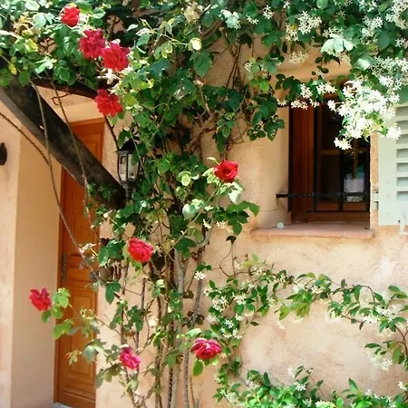 Villa Pokade Climatisée De 235 M2 Piscine Sans Vis à Vis Grand Jardin Totalement Clos