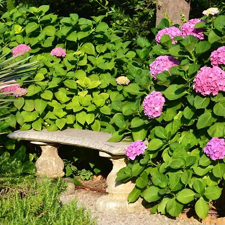 Pokade Climatisée De 235 M2 Piscine Sans Vis à Vis Grand Jardin Totalement Clos Villa Vallauris