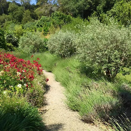 Pokade Climatisée De 235 M2 Piscine Sans Vis à Vis Grand Jardin Totalement Clos
