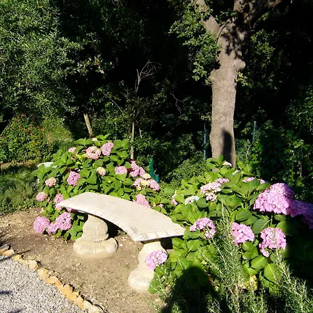 Villa Pokade Climatisee De 235 M2 Piscine Sans Vis A Vis Grand Jardin Totalement Clos *