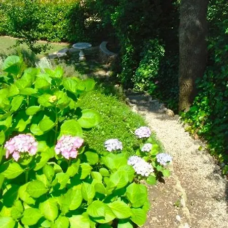 Pokade Climatisee De 235 M2 Piscine Sans Vis A Vis Grand Jardin Totalement Clos Vila Vallauris