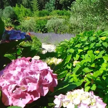Villa Pokade Climatisée De 235 M2 Piscine Sans Vis à Vis Grand Jardin Totalement Clos Vallauris