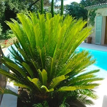 Pokade Climatisee De 235 M2 Piscine Sans Vis A Vis Grand Jardin Totalement Clos *