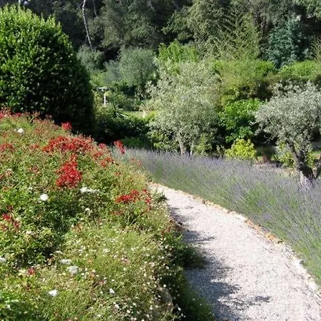 Pokade Climatisée De 235 M2 Piscine Sans Vis à Vis Grand Jardin Totalement Clos Vallauris