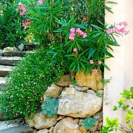 Vila Pokade Climatisee De 235 M2 Piscine Sans Vis A Vis Grand Jardin Totalement Clos *
