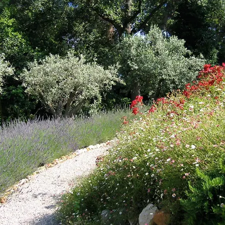 Villa Pokade Climatisée De 235 M2 Piscine Sans Vis à Vis Grand Jardin Totalement Clos *